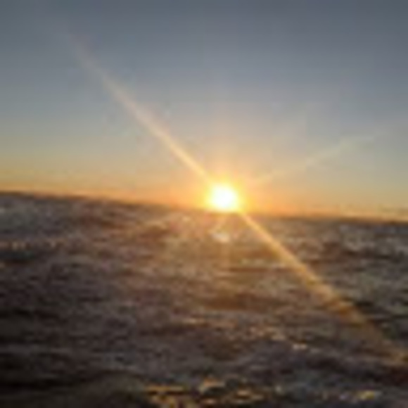 Meet your Posher, Julia - Picture 1 of 1